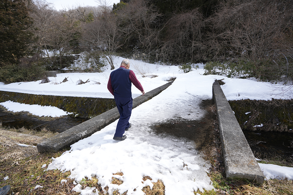 牛を殺処分した放牧地があった場所に向かう松本信夫=2025年3月、福島県葛尾村